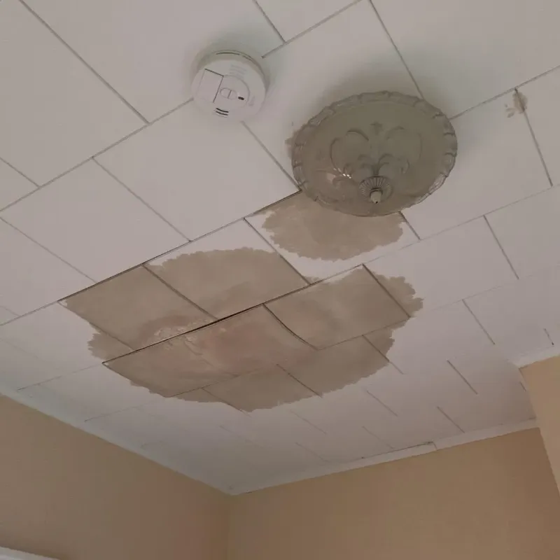Ceiling Water Damage Repair in Highland Park, TX