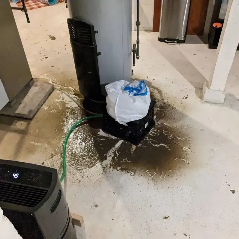 Sewage Backup Cleanup Service in Highland Park, TX